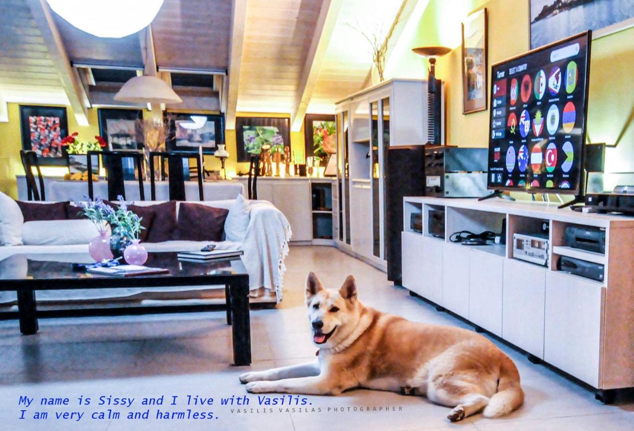 B&B In Corfu Town Εξωτερικό φωτογραφία